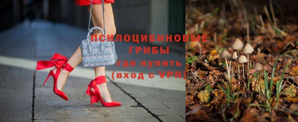 тгк Баксан